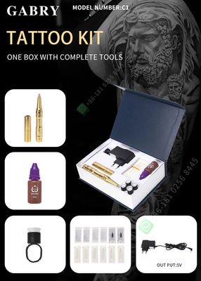 Permanente het Kanonmachine Kit Electric Microblading For Eyebrow van de Make-uptatoegering