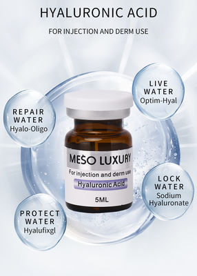 Privé Etiket die Hyaluronic Zure Injecties van de Luxemesotherapy van Seruminjecties voor jonger Gezicht bevochtigen
