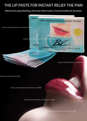 Einde het Aftappen van de het Deeg de Permanente Make-up van de Verdovingsmiddelenlip van het de Lippenstootkussen Antiallergie