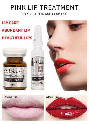 Van de de Lippeninjectie van het Staliderammerk de Roze van het de Behandelingsserum Essentie van de de Lippenreparatie van Derma Microneedling Mesotherapy