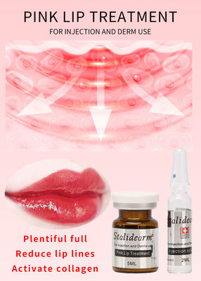 Van de de Lippeninjectie van het Staliderammerk de Roze van het de Behandelingsserum Essentie van de de Lippenreparatie van Derma Microneedling Mesotherapy