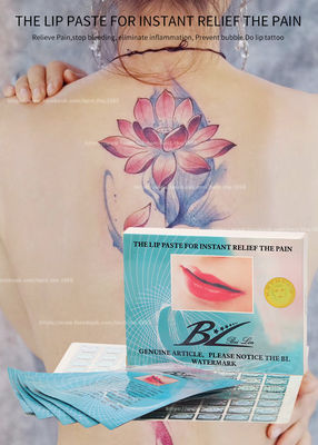BL van het de Lippenstootkussen van de hulppijn het Permanente het Einde van het de Tatoegeringsdeeg van de make-uplip Anti zwelt Aftappen