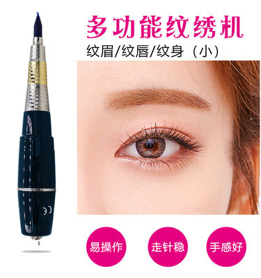 Zwarte Permanente Make-upmachine 100 - 240V-Scalp de Pen van MicrGel polishgmentation